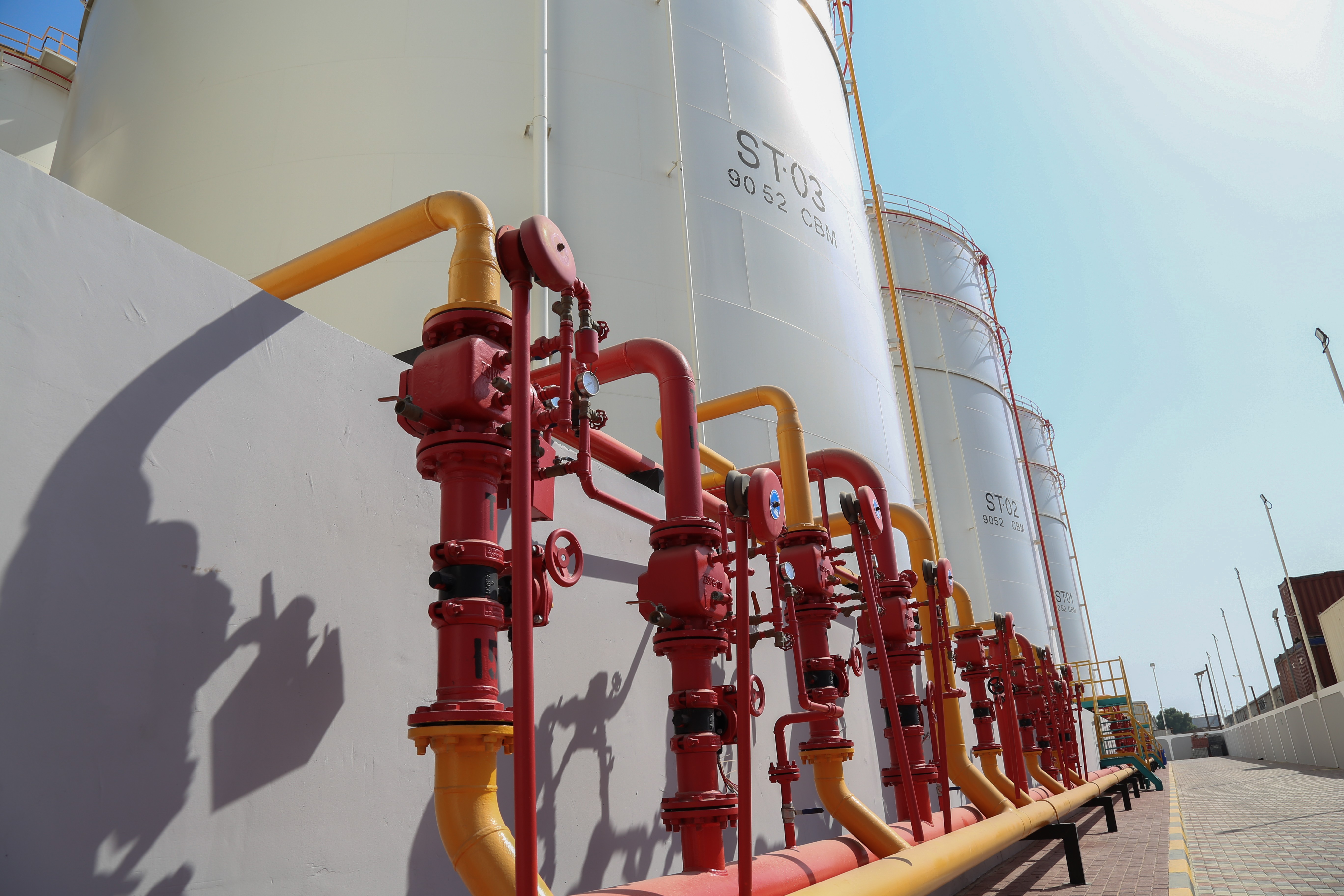 Climate Action Network Logo